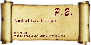 Pantelics Eszter névjegykártya